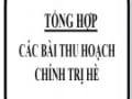 Mẫu bài thu hoạch chính trị hè cho Đảng Viên