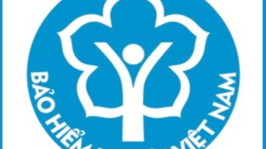 Nội dung chi tiết quyết định số 166/QĐ-BHXH năm 2019