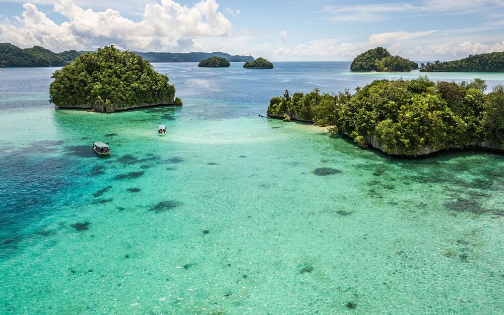 Ẩm thực Palau và những điều thú vị  từ Du lịch Palau