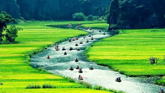 Top Vietnam Travel Agencies Best Services and Cultural Immersion